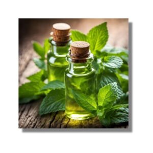 Peppermint Essential Oil
