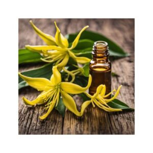Ylang Ylang Essential Oil
